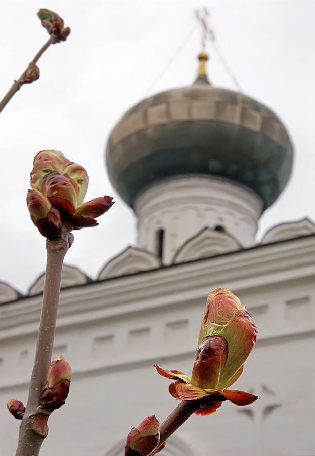 Путешествие в город Клин