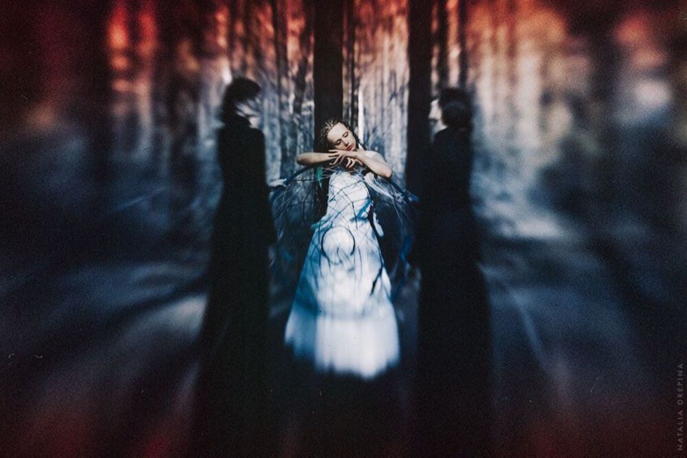 Ловец Снов