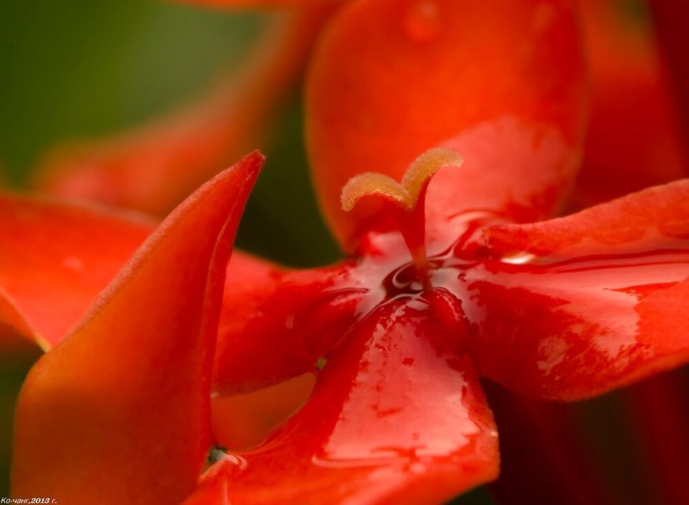 After rain...