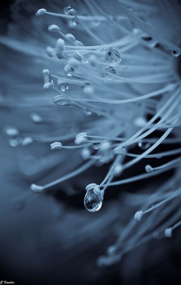 After rain...