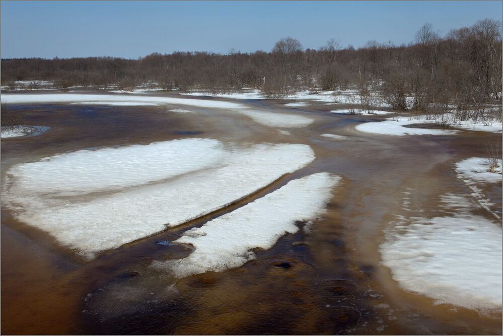 Течёт болотная водица.