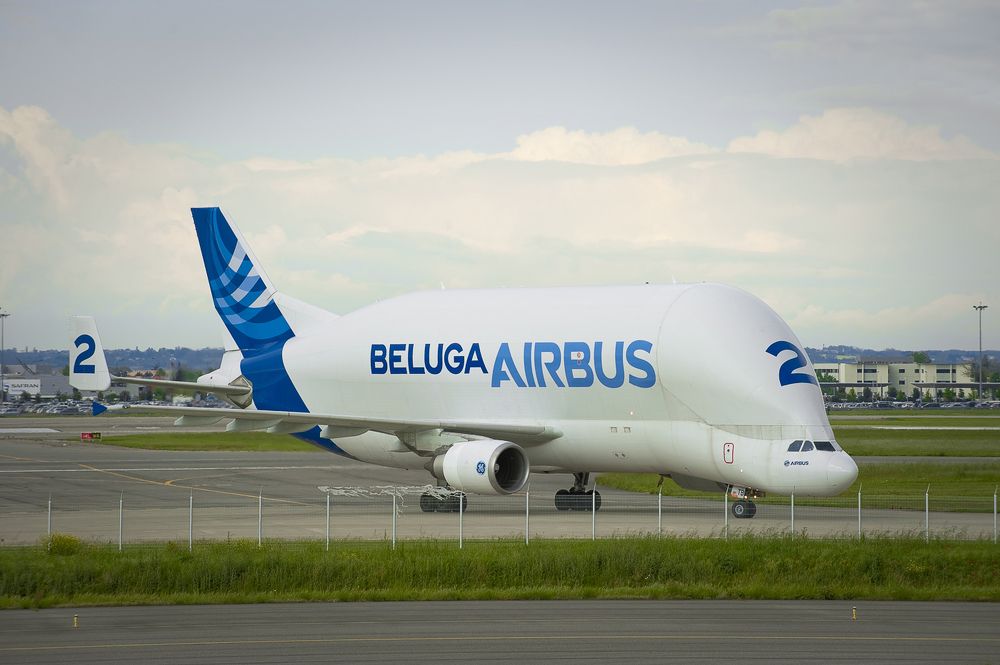 Airbus A300-600ST Super Transporter, также известный как Airbus Beluga &mdash; уникальный по своей конструкции транспортный самолет для перевозки крупногабаритных грузов. В частности, элементов конструкции A-380. Всего во флоте компании Airbus 5 таких машин.