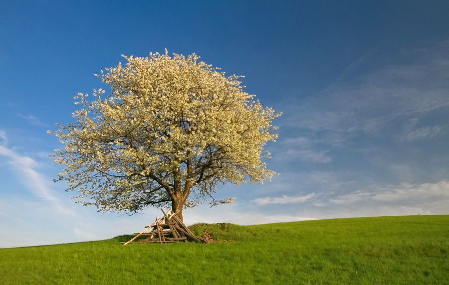 Moravia
