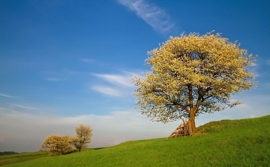 Moravia