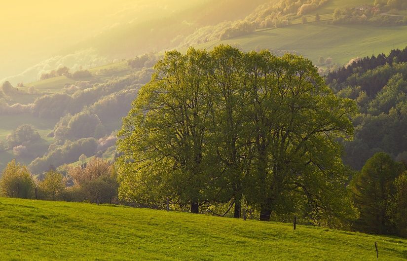 Moravia