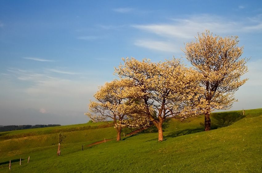 Moravia