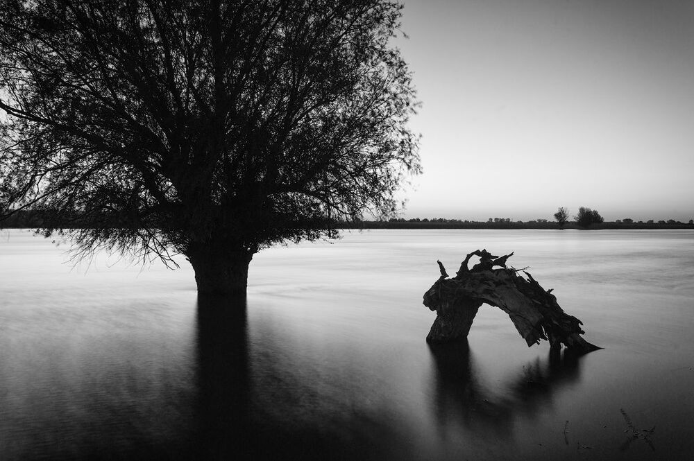 Коряжки Астраханской области. Увидим и не забудем.