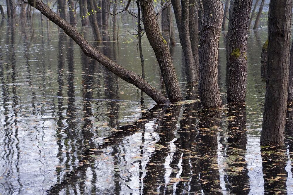 03 Диагонали большой воды