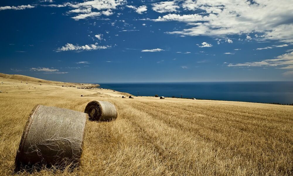 Bales