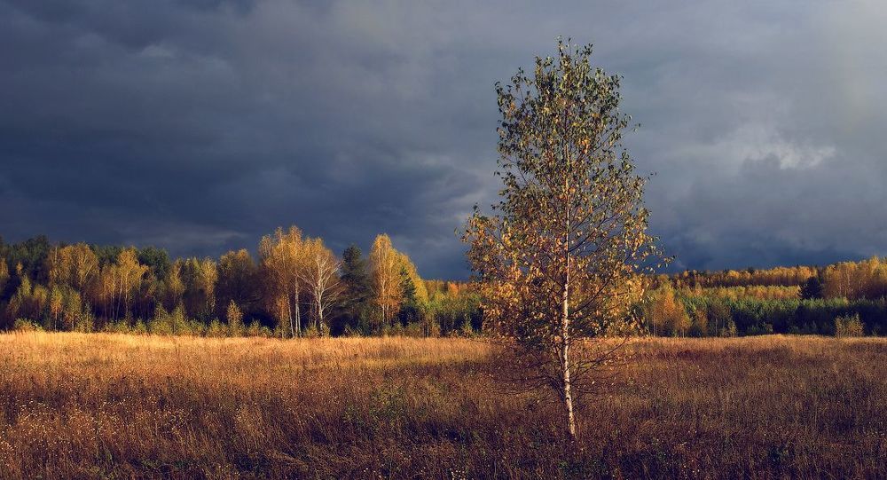 Поздняя осень