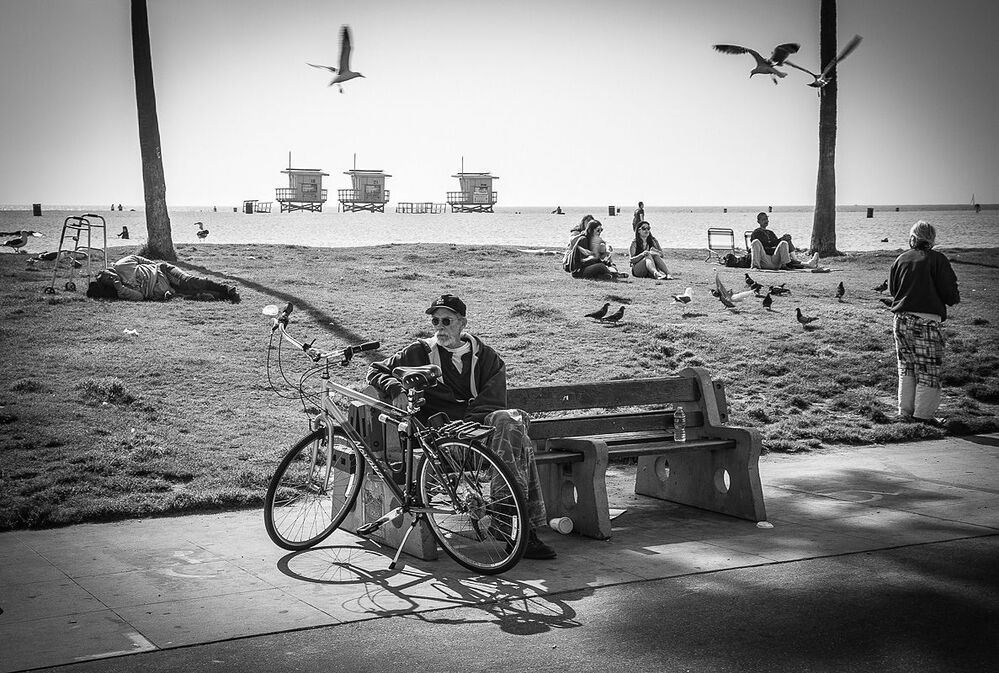 Venice Beach / Los- Angeles
