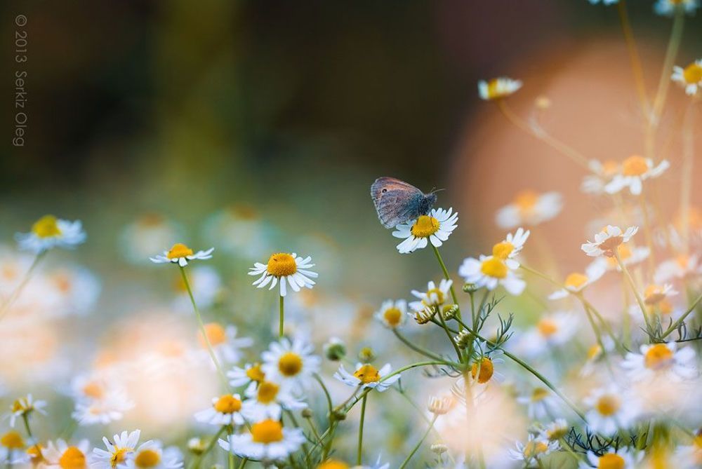Spring feeling