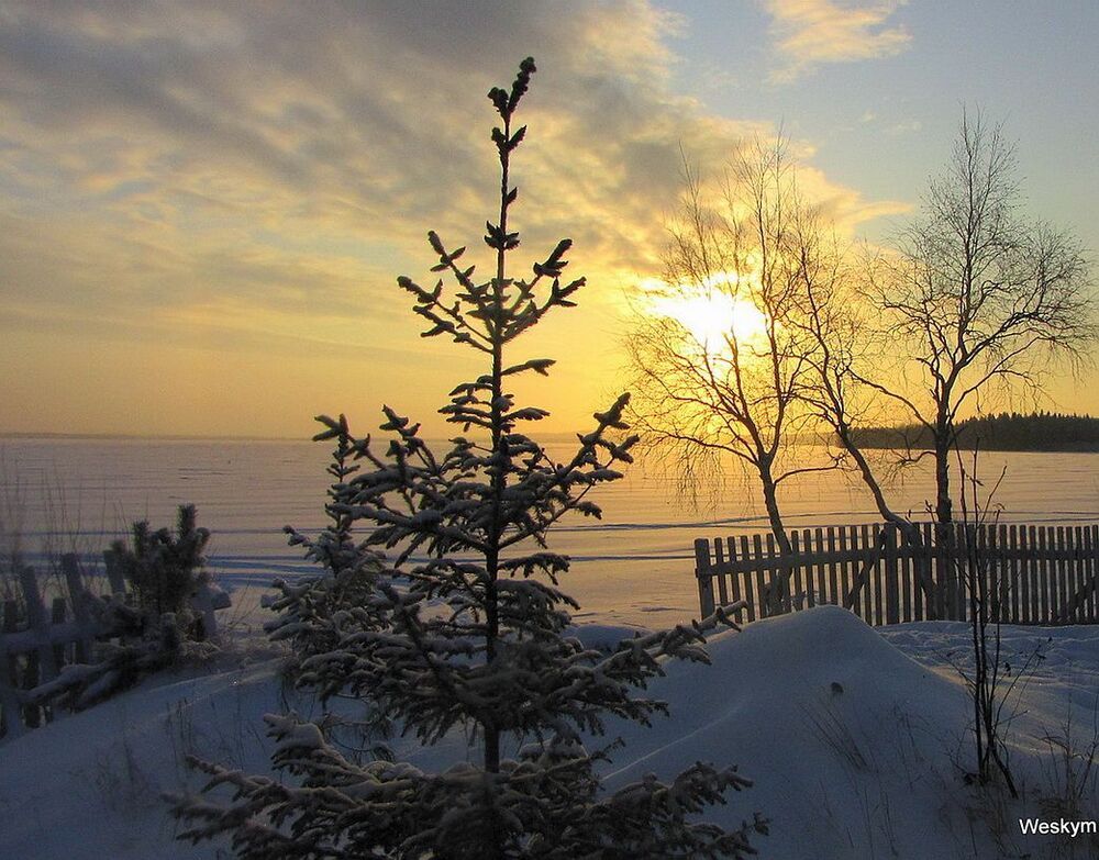 Природа зимой.