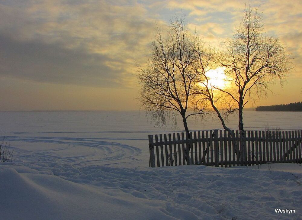 Природа зимой.