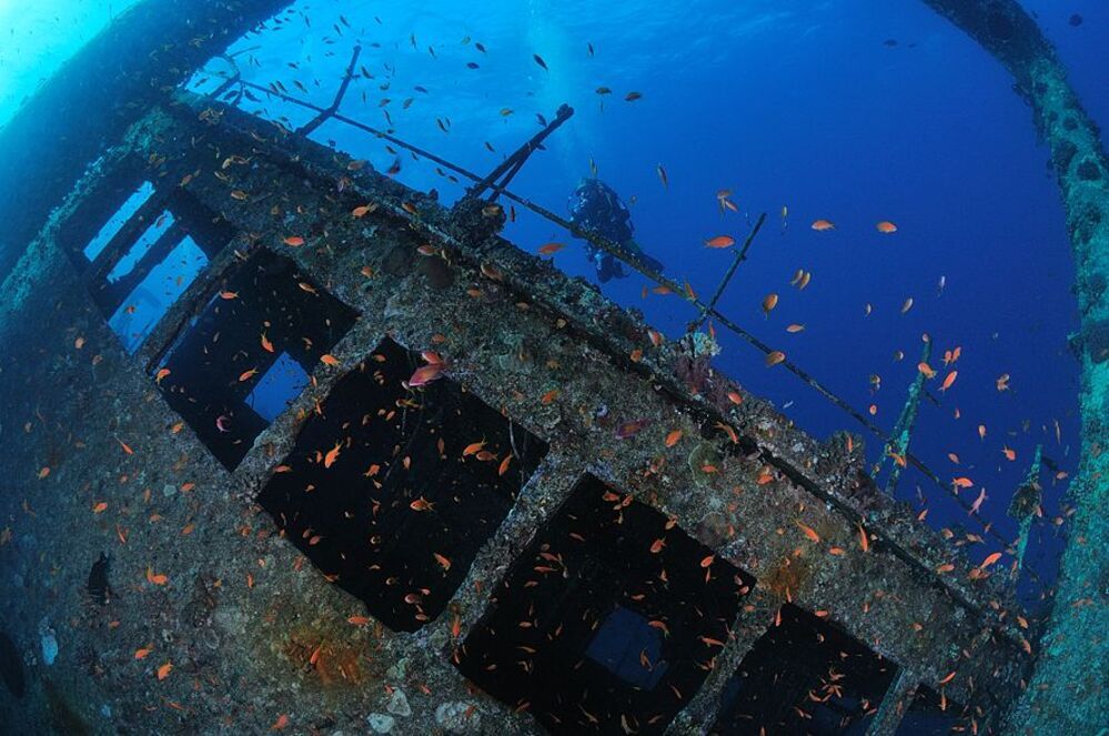 Wreck "Djanis D"
