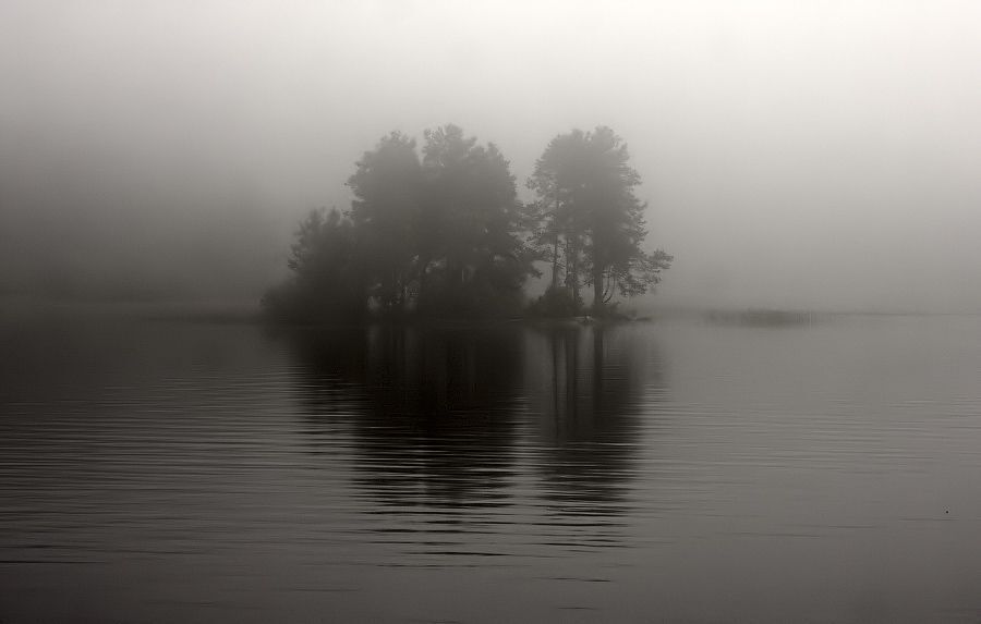 Photo 40750