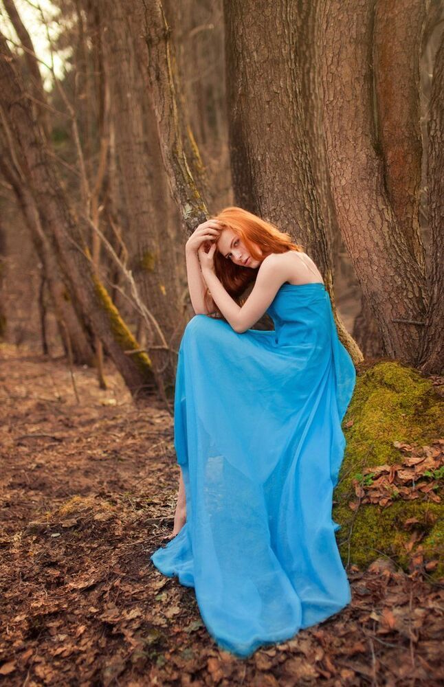 forest tale