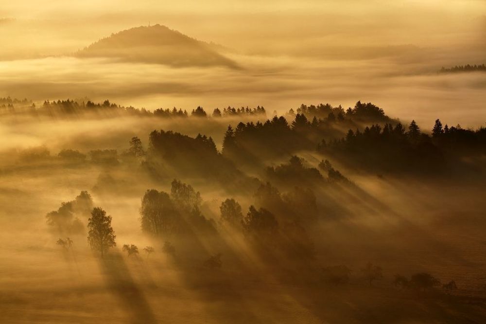 Morning rays
