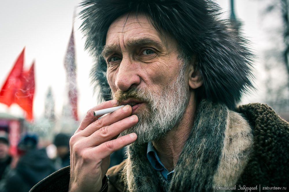 Old fox