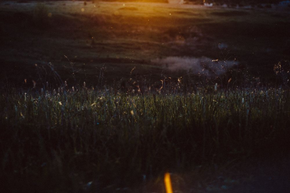 Photo 403624