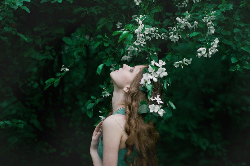 Apple trees and Tatiana