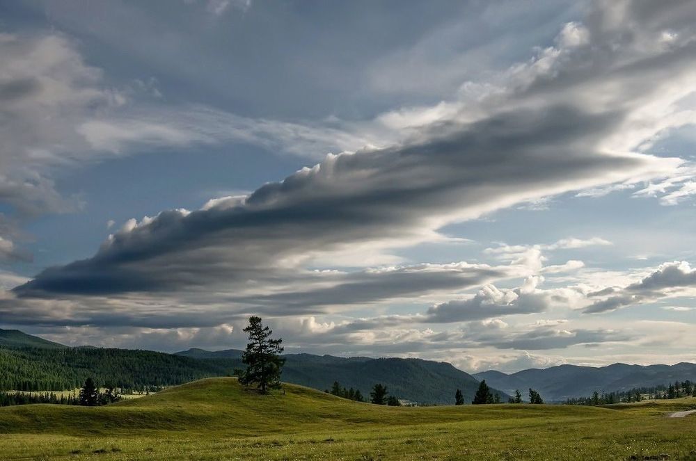 Алтайские зарисовки.