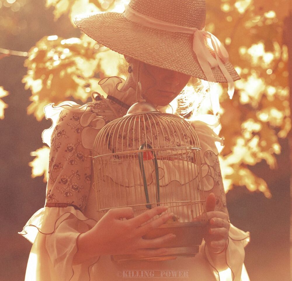 The Autumn's Strokes
