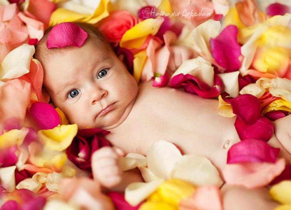 Little Rose
