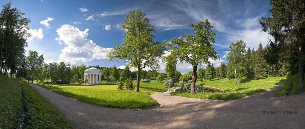 В Павловском парке.