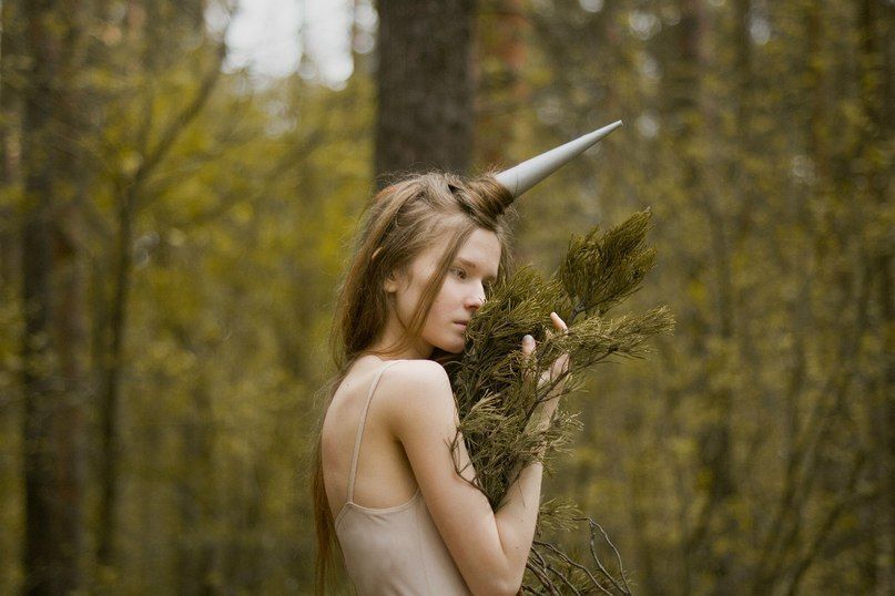 unicorn