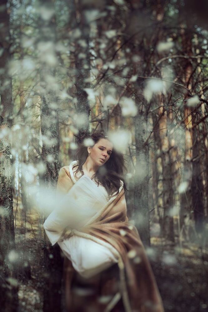 Photo 405358