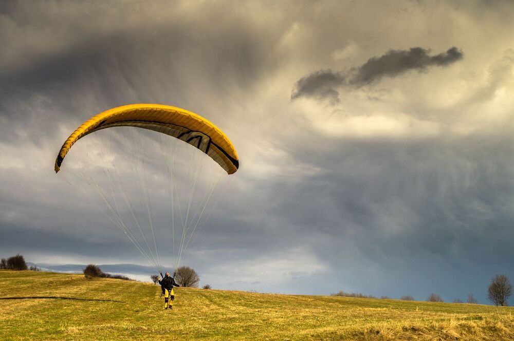 fly