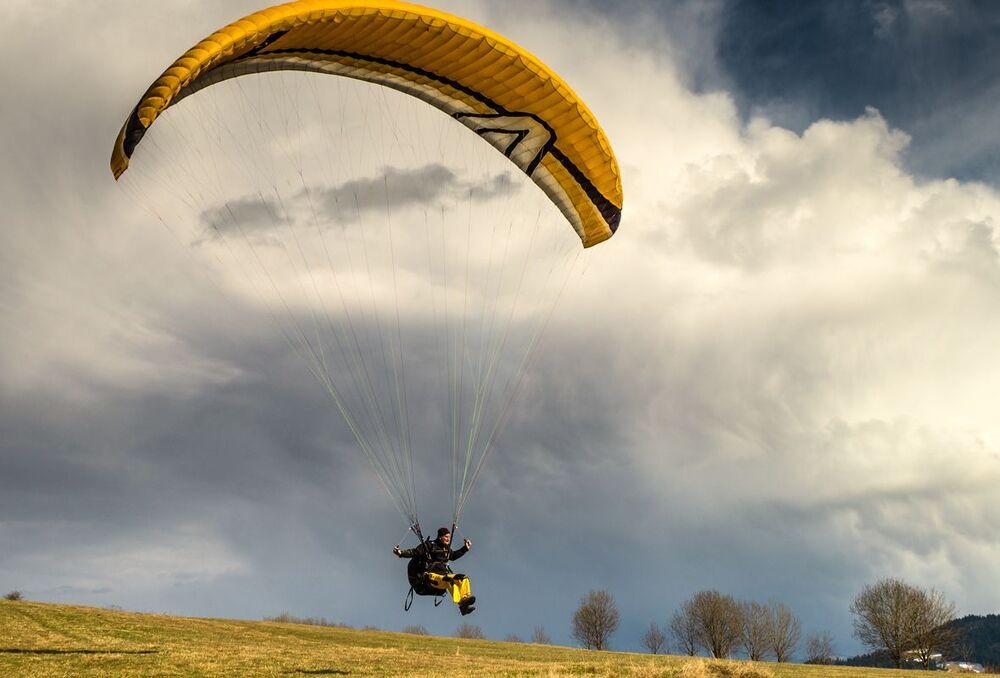 fly