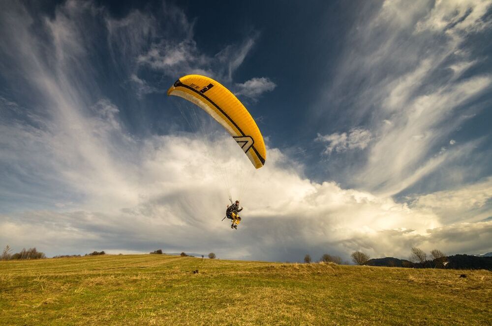 fly