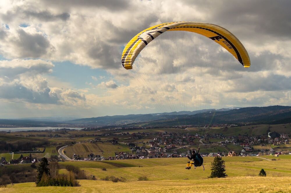 fly