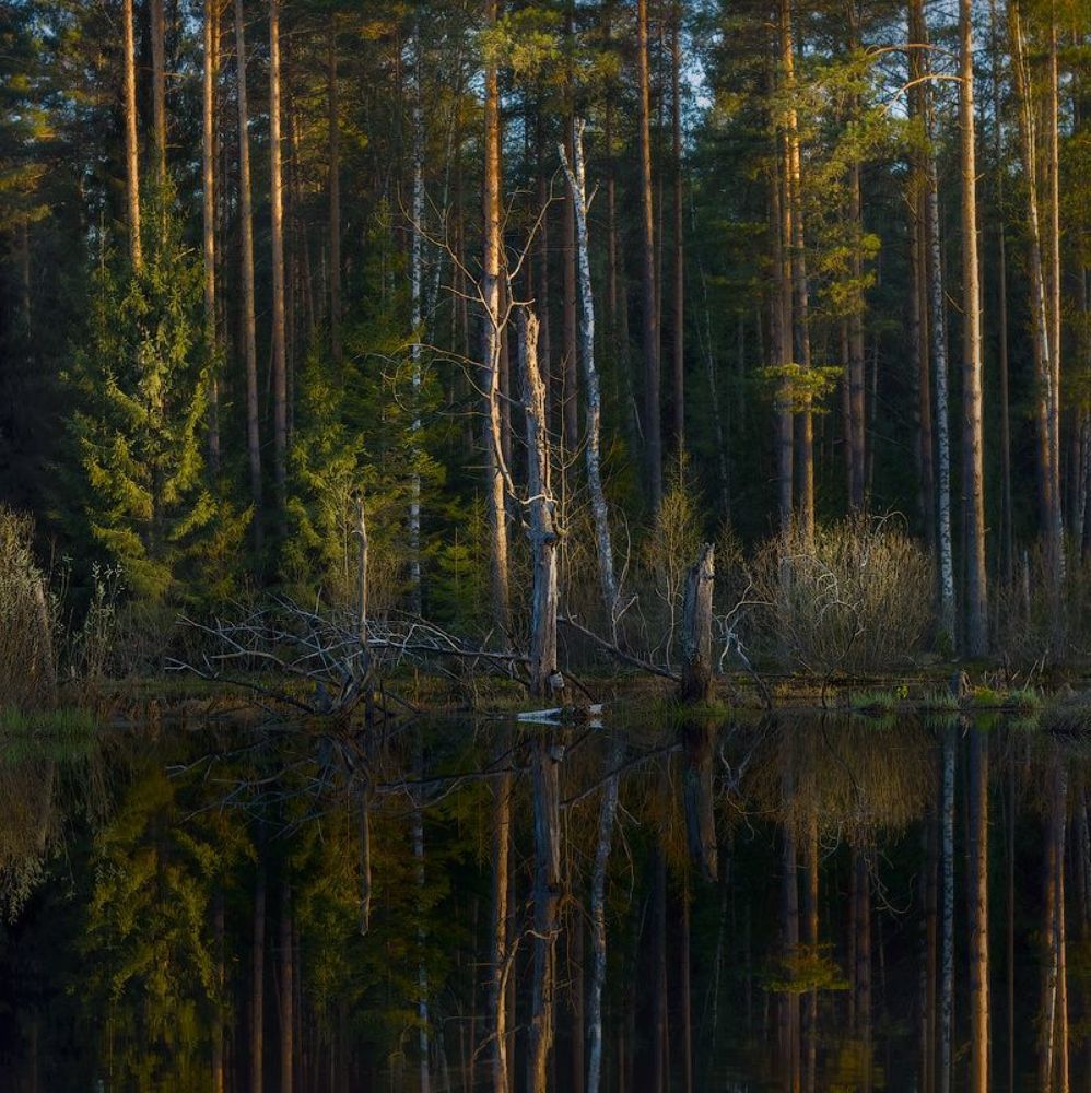 Вечерние тайны Черной Порзы