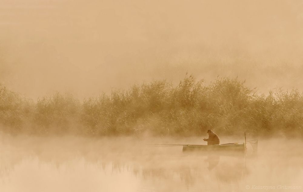 in the silence