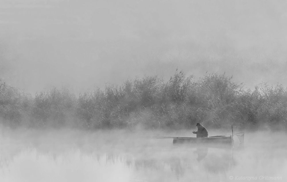 in the silence