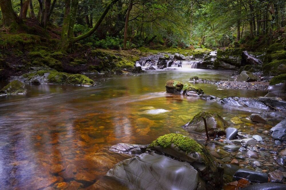 Tollymore Forest Park