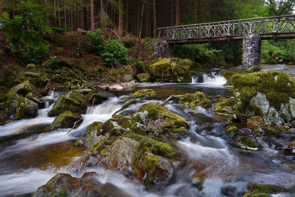 Tollymore Forest Park
