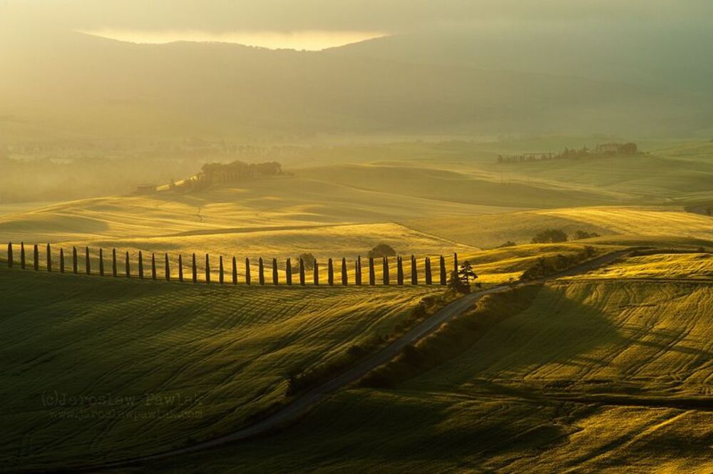 Cassia Road