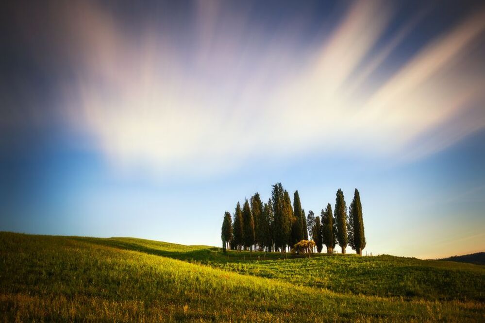 Cypress Hill