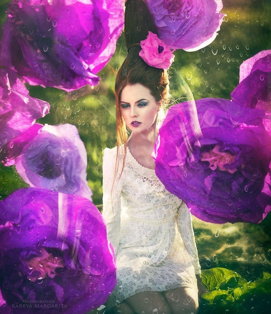 Photo 408424