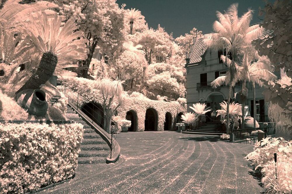Monte Palace Tropical Gardens - находятся на вершине холма Монте.