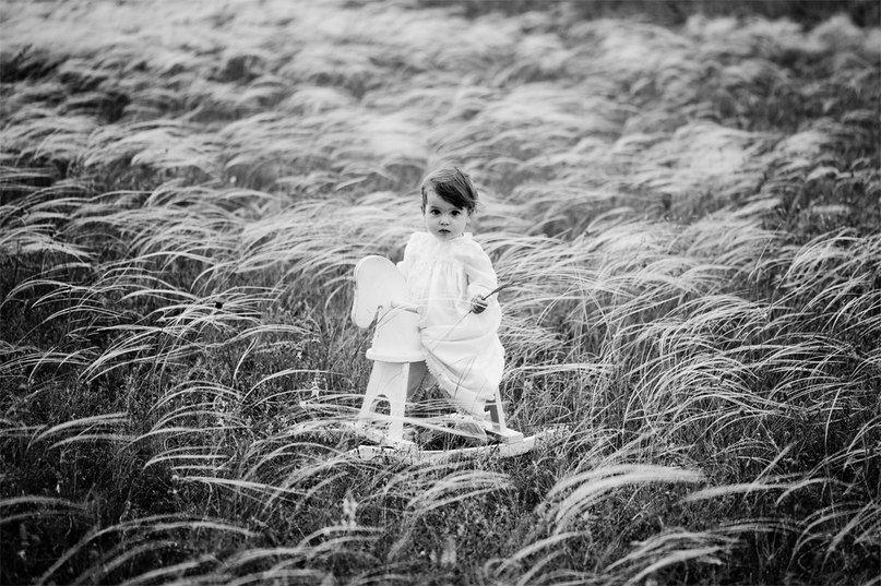 Photo 409646