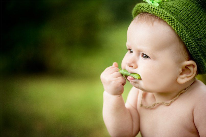 Photo 409649