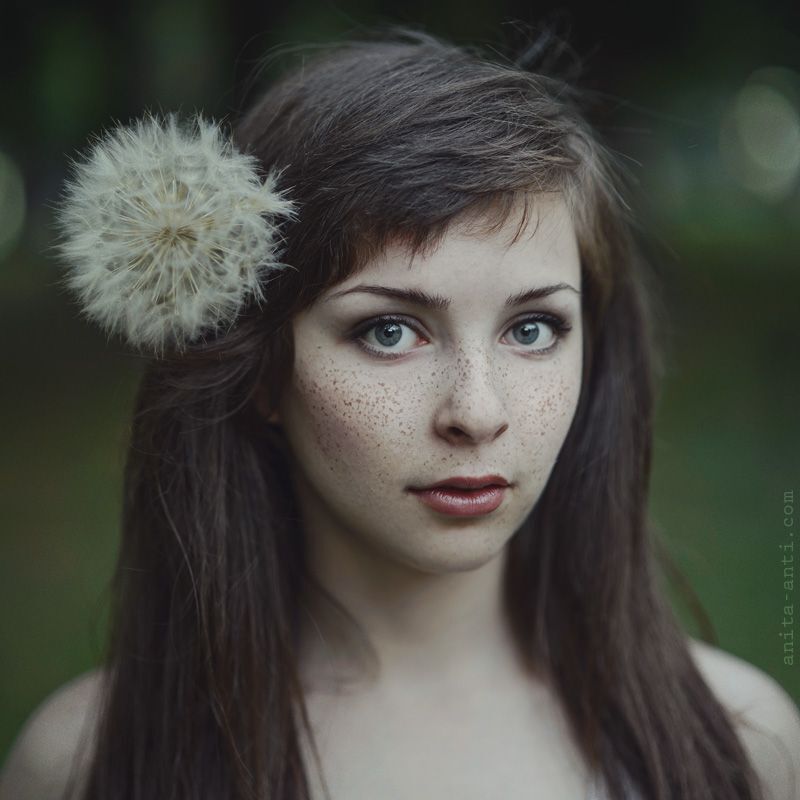 Dandelion
