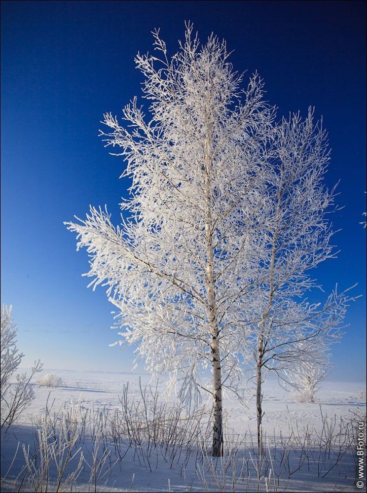 Белое на голубом