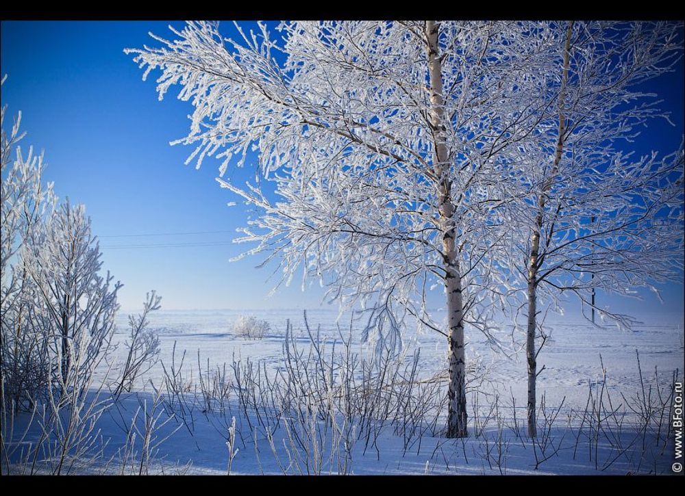 Белое на голубом