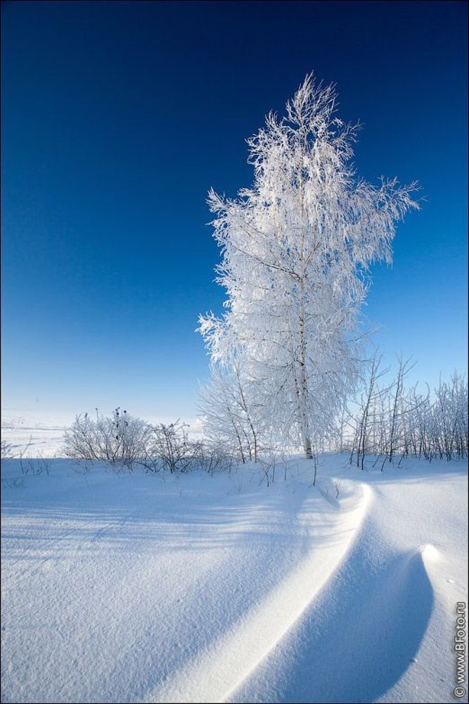 Белое на голубом
